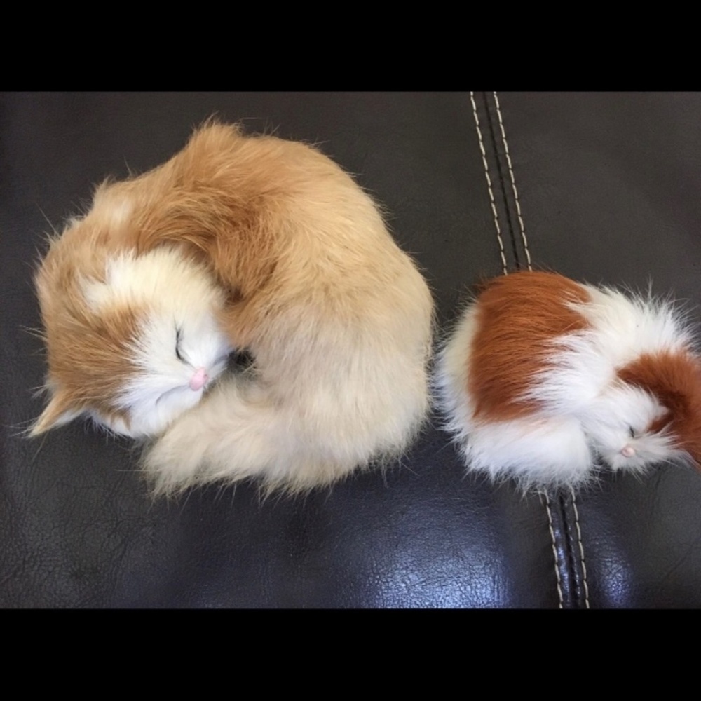 Cat collection - Picture 3 of 7